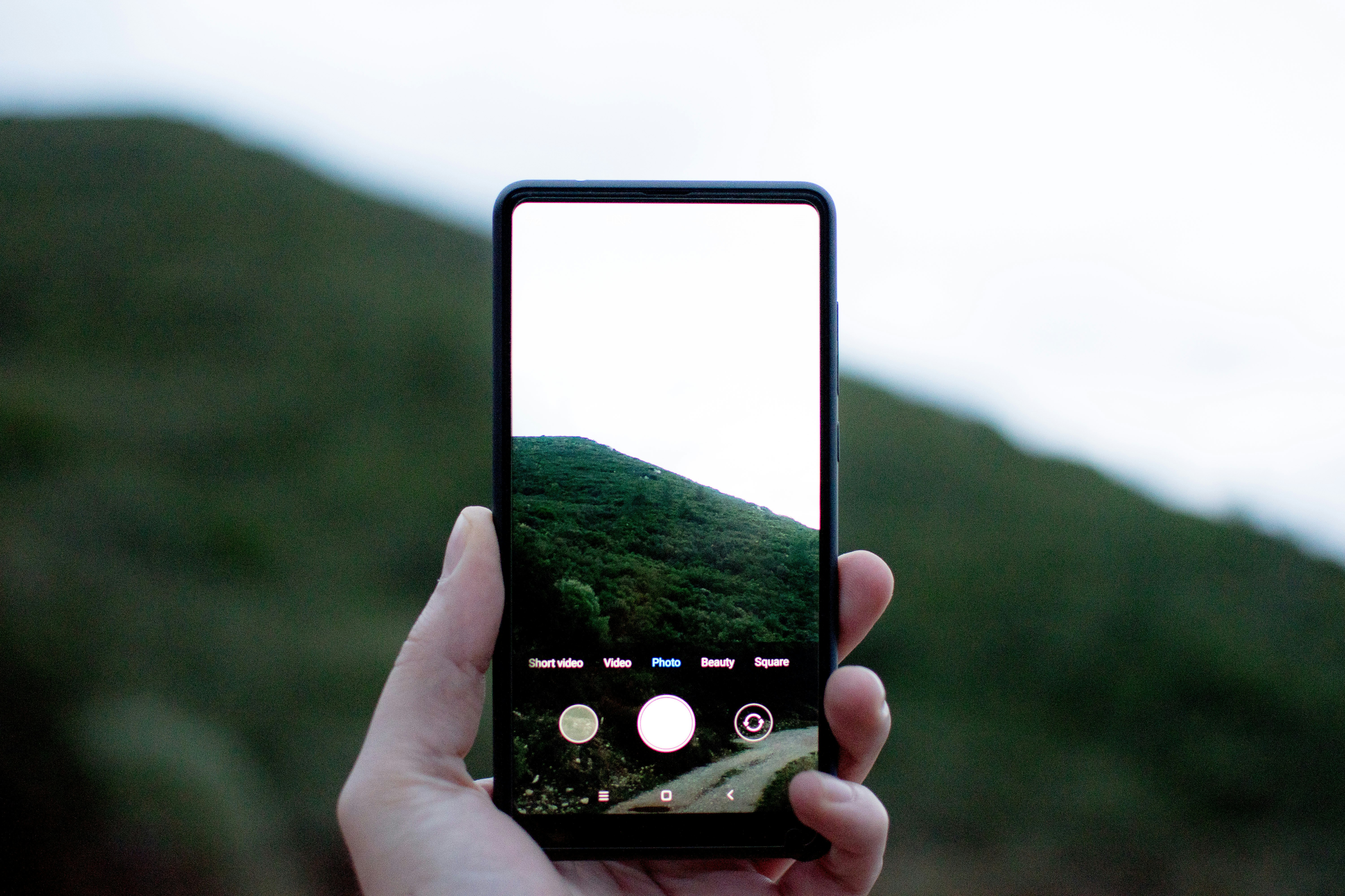 person showing photo of mountain on smartphone